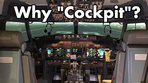 coockpit|why is it called a cockpit.